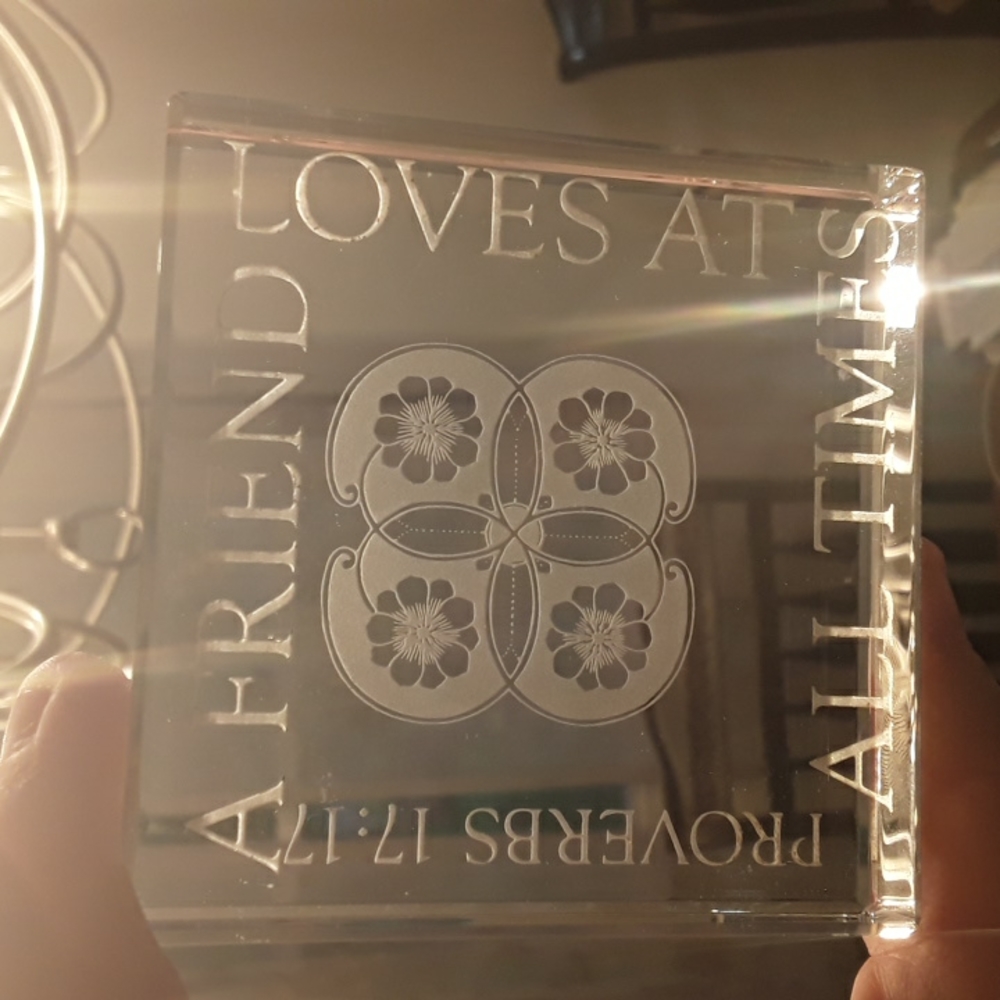 Seagull Studios Cystal Reflections Paperweight